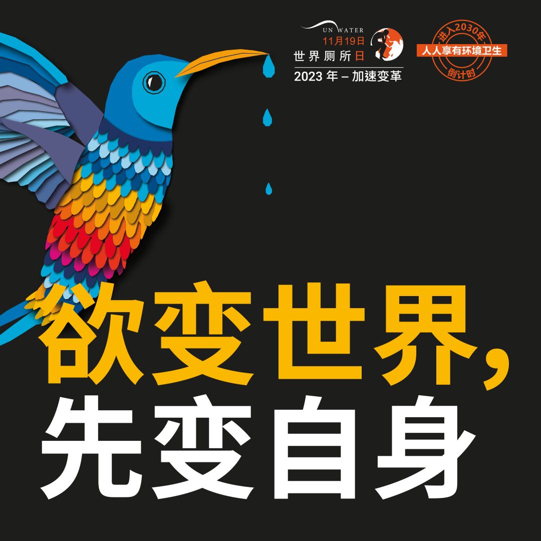 世界厕所日——加速变革下的行动